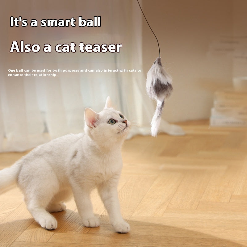 Funny Moving Mouse Ball – Interactive Play for Pets & Cats