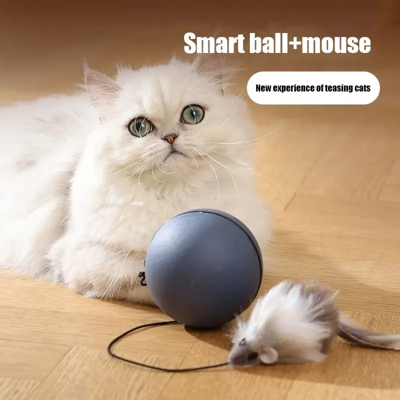 Funny Moving Mouse Ball – Interactive Play for Pets & Cats