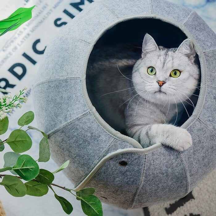 Indoor Cat Tube – Foldable Tunnel Bed for Dogs & Cat - petslif.net