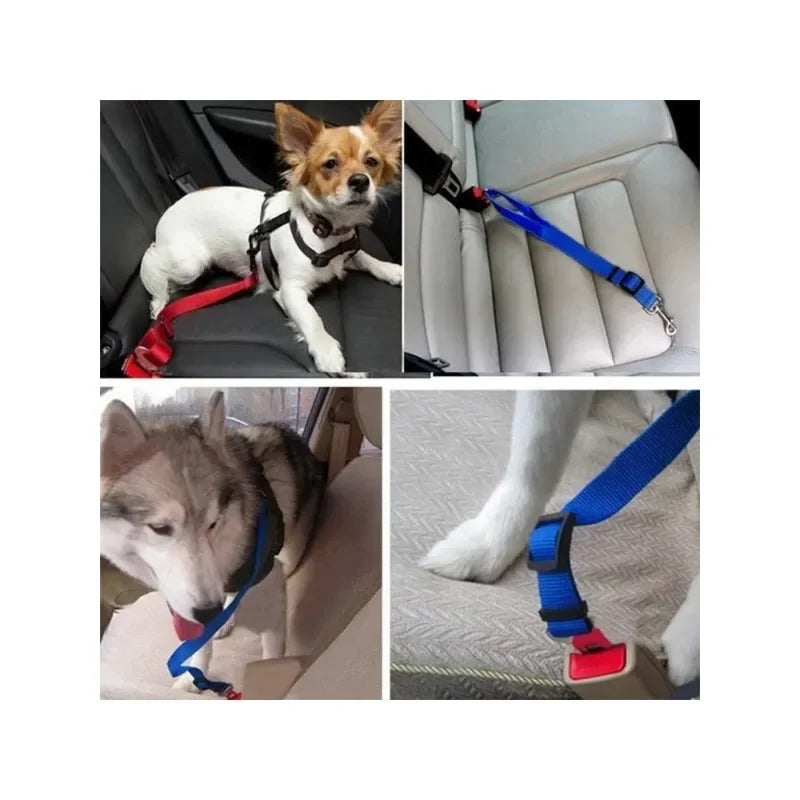 Adjustable Pet Dog Safety Rope for Cars – Red, Blue, Black