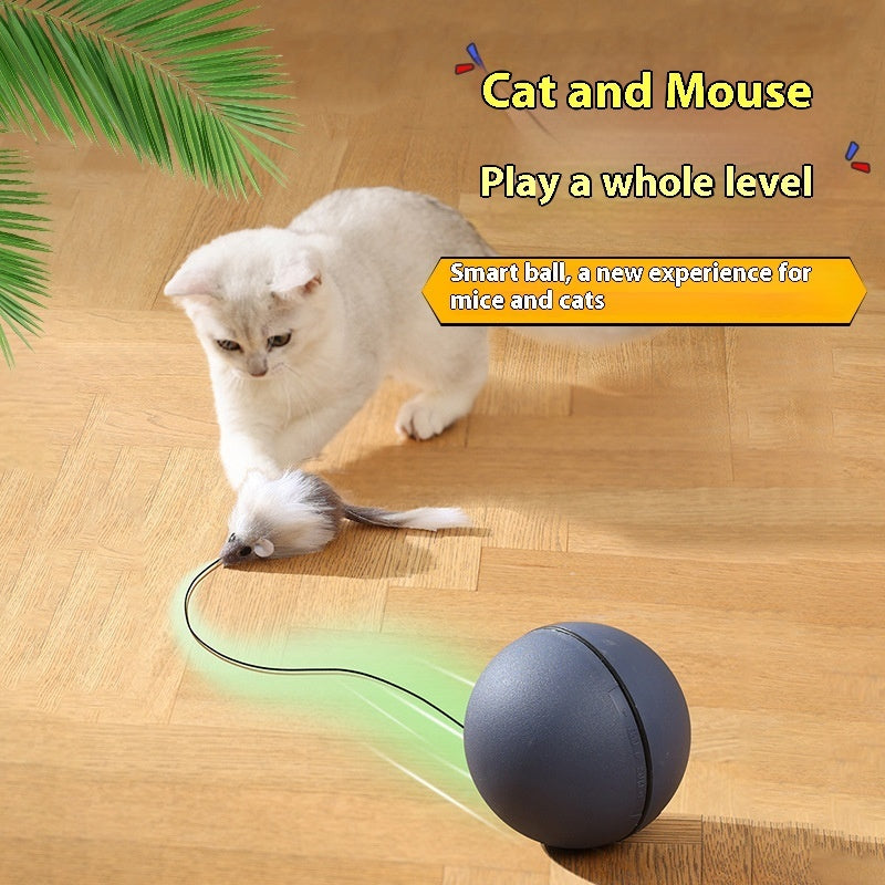 Funny Moving Mouse Ball – Interactive Play for Pets & Cats