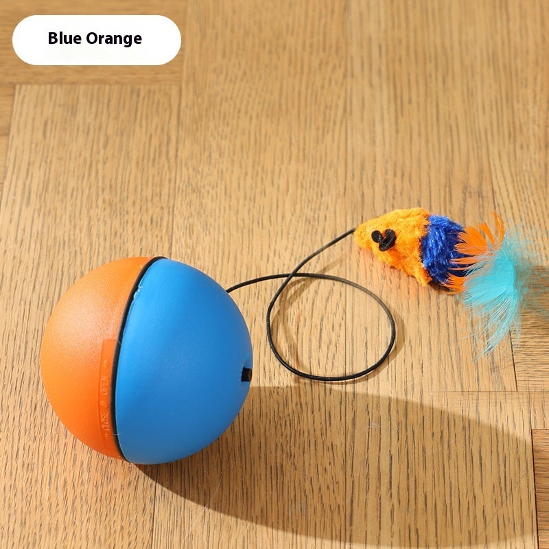 Funny Moving Mouse Ball – Interactive Play for Pets & Cats
